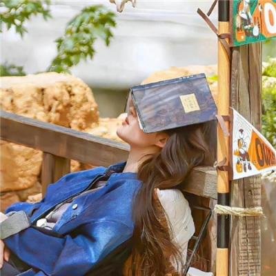 替代者2混沌梦魇